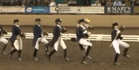 Dressage Stick Horses